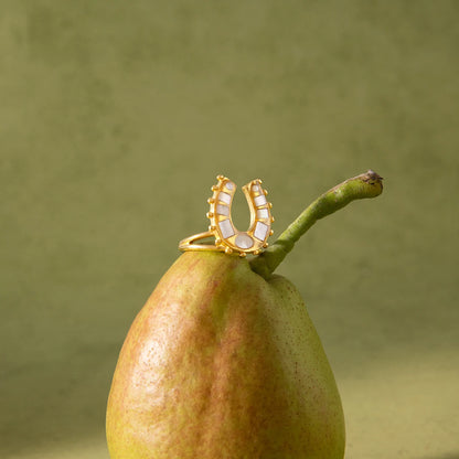 18K Vergulde Hoefijzer Ring Collectie – Waterdichte, Vlekvrije Statement Ringen